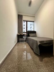 Birmingham Mansions (D11), Apartment #465373181